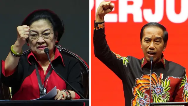 Megawati dan Jokowi