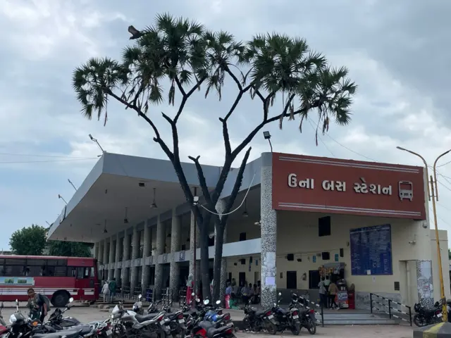 ઉના, વેરાવળ, દીવ, રાવણતાડ, ગુજરાતની વનસંપદા, બીબીસી ગુજરાતી, જૂનાગઢ, કુદરત, પ્રકૃતિ, રાવણતાડ, ખેતી