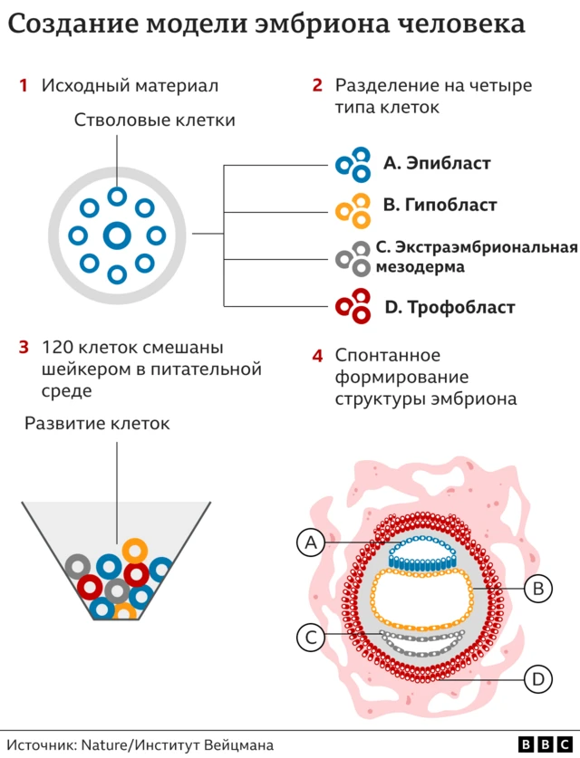 Выебал толстую жену