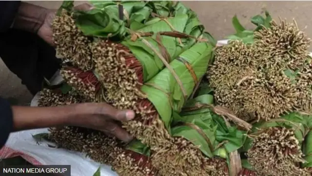 Qaadka Kenya ee Soomaaliya loo dhoofiyo