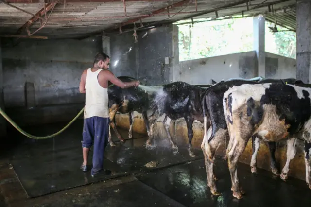 દૂધના ભાવ ગરમીમાં કેમ વધે 