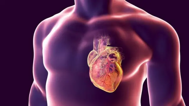 The risk of heart conditions increases with age.