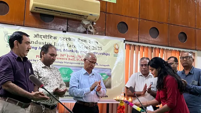 ગુજરાત, મગફળીનું વાવેતર, કપાસનું વાવેતર, ગુજરાતના મુખ્ય પાકો, બીબીસી ગુજરાતી, ગુજરાતની ખેતી, ગુજરાતમાં ખેતી, ખેત ઉત્પાદન, જૂનાગઢ