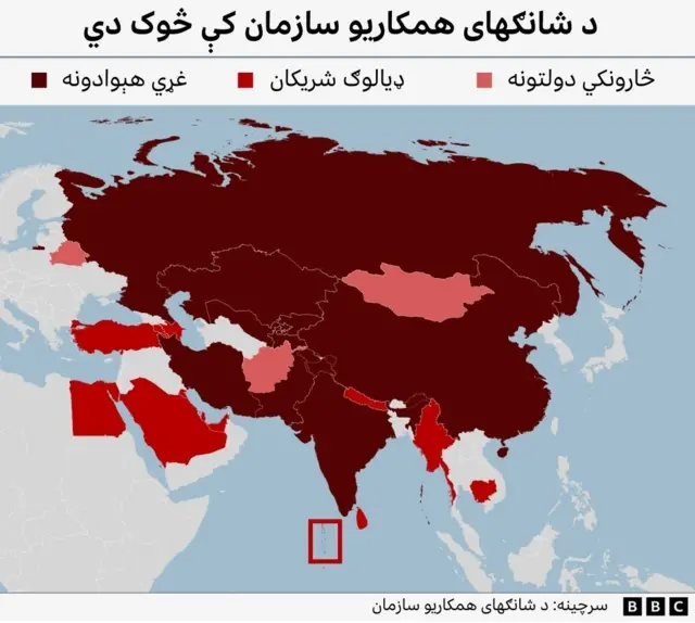 شانګهای همکاریو سازمان