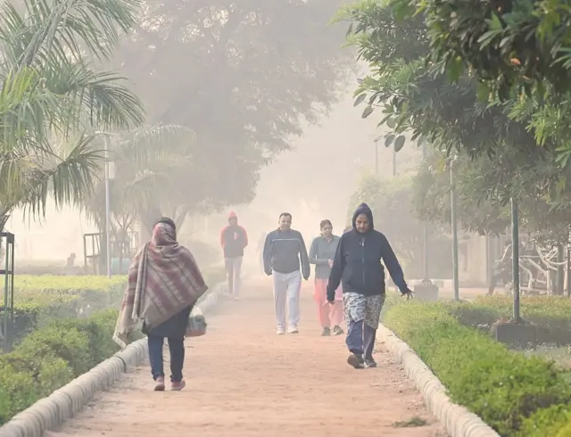 kabut beracun, delhi, india