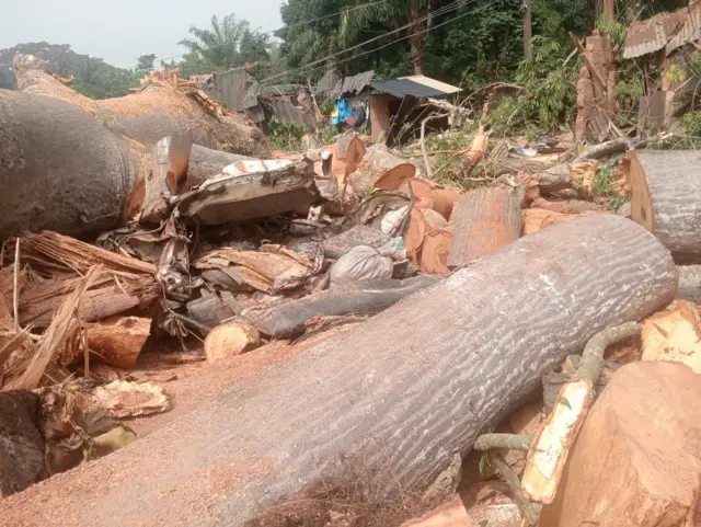 Osisi ahụ dakporo ụgbọala bọsụ