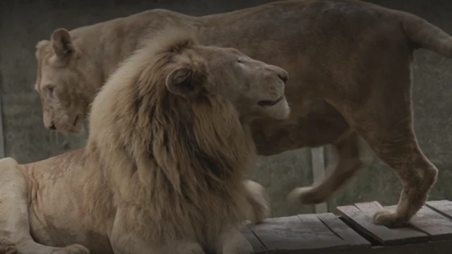 प्रातिनिधिक फोटो