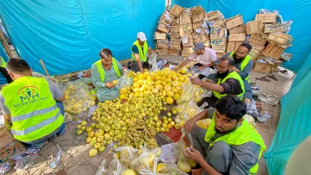 مصطفی حنیف، پھل