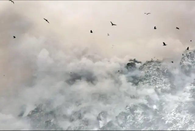 Бишкек четинде кеминде 45 га жерди ээлеп жаткан таштанды жайынын көрүнүшү