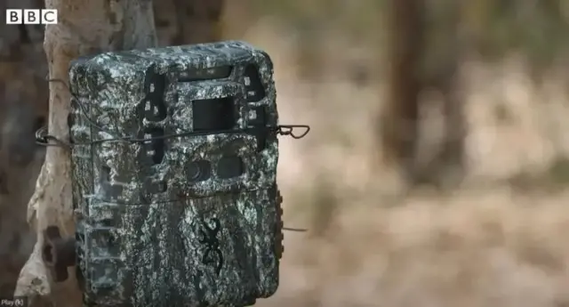 கலிவிக்கோடி, ஆந்திரா