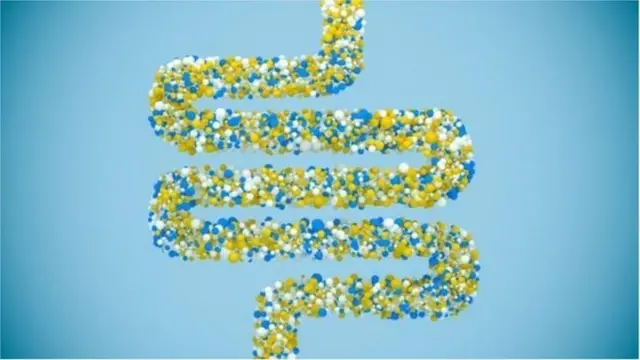 ਪਾਚਨ ਤੰਤਰ