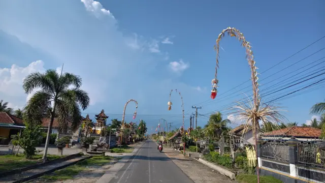 Desa Balinuraga di Lampung Selatan