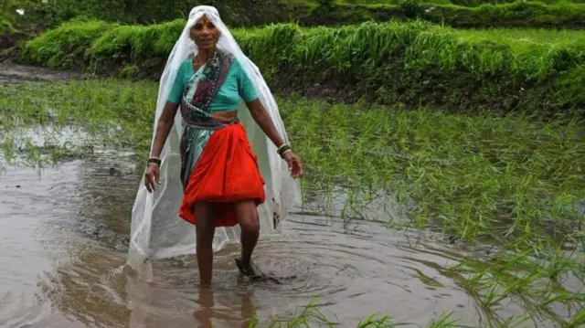 ਮੀਂਹ ਵਿੱਚ ਕਿਸਾਨ ਬੀਬੀ