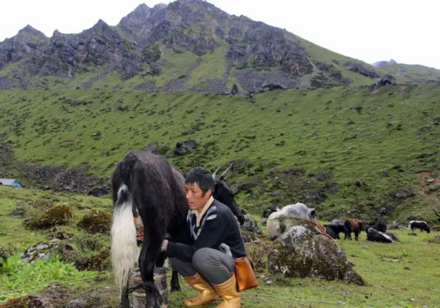 कृषिगणना