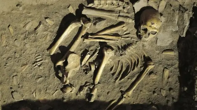 நியாண்டர்தால் எலும்புக்கூடு எச்சங்கள் 