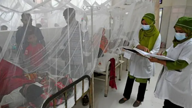 বাংলাদেশে ডেঙ্গু চিকিৎসার খরচ কমাতে সরকারের কিছু ক্ষেত্রে বিশেষ নিয়ম করা উচিত ছিল বলে মনে করেন স্বাস্থ্য অর্থনীতিবিদ ও জনস্বাস্থ্য বিশেষজ্ঞরা 