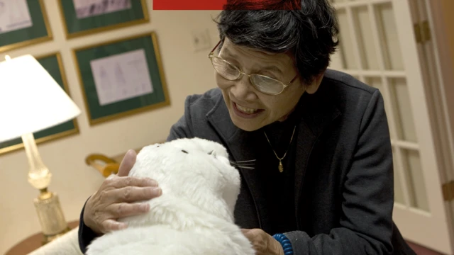 Paro'ya konuşan bir kişi