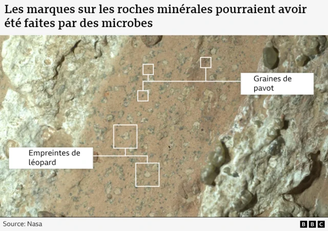 Graphique montrant une vue rapprochée des roches sur Mars, avec des étiquettes annotées pour décrire les surnoms des empreintes de léopard et de graines de pavot