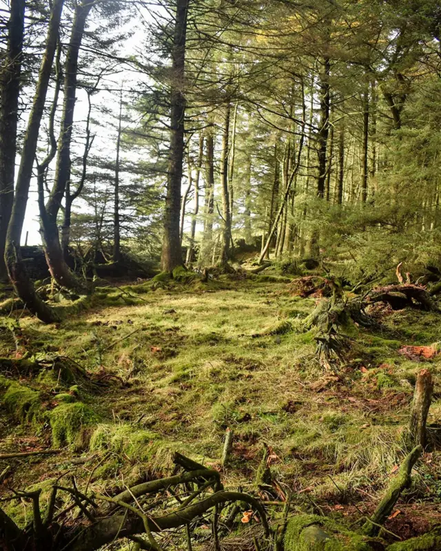 සැතපුම් හතක ටොල්කියන් ට්‍රේල් මගින් ලේඛකයා ලැන්කෂයර්හි සුන්දර භූ දර්ශනවලින් ආභාෂය ලැබූ ආකාරය හෙළි කරයි (අයිතිය : ඩැනියෙල් ස්ටේබල්ස්)