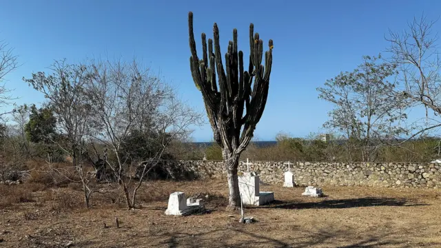 Vista del cementerio de Isla María Madre.