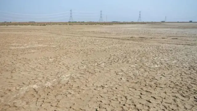 পতিত জমির উপরেই এই আরই পার্ক গড়ে উঠছে। 