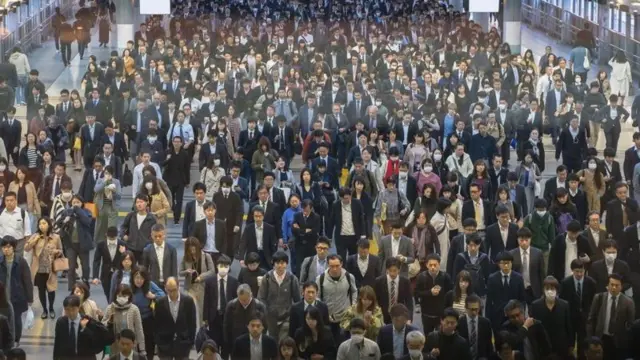 நெப்போலியனுக்காக உருவாக்கப்பட்ட கணிதத் தீர்வுகள்