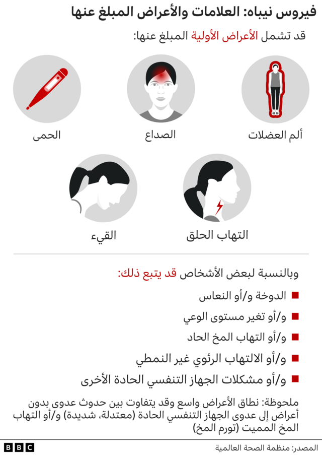 فيروس ارتجاعي