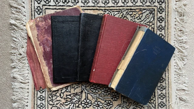 የጋዜጠኛው ማስታወሻዎች