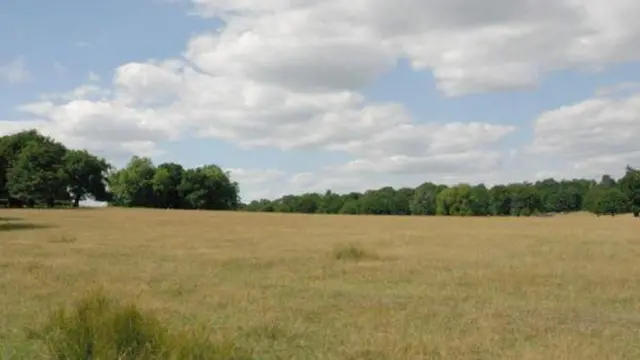 Richmond Park 