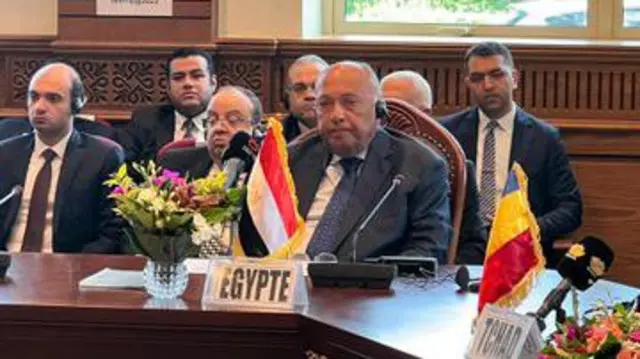 وزير الخارجية المصري سامح شكري خلال اجتماع الآلية الوزارية لدول جوار السودان في العاصمة التشادية نجامينا