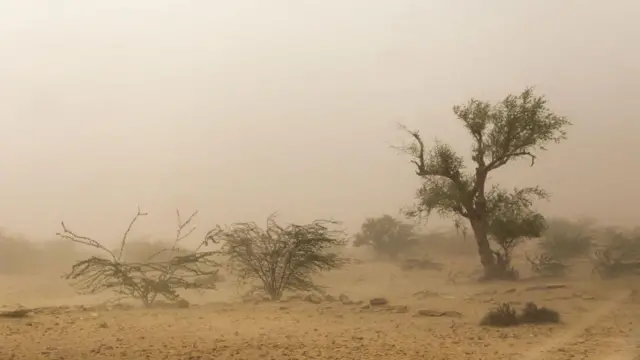 జైసల్మేర్, రాజస్థాన్, పాకిస్తాన్ 