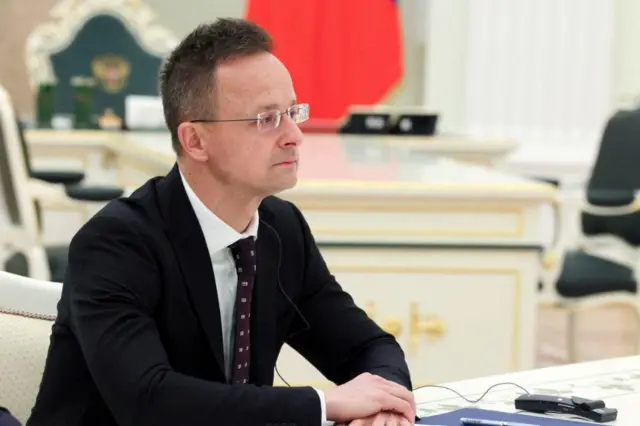 У приміщенні зі світлими стінами людина в діловому костюмі сидить за великим столом, на якому лежать папки, мікрофони та переговорні пристрої. Позаду видно декоративні елементи інтер’єру й частину прапора.