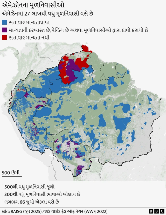 બીબીસી ગુજરાતી, ગુજરાત, બીબીસી, બ્રાઝીલ, એમેઝોન, જંગલ,