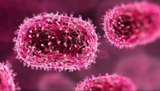 બીબીસી ગુજરાતી