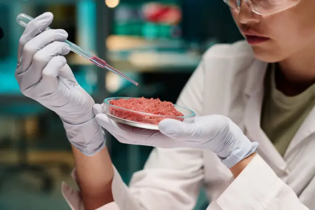 Carne em laboratório