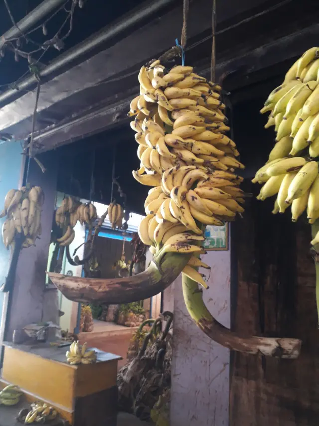 மணம், சுவை குறையக் காரணம் ரசாயன உரமா?