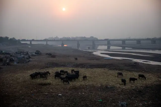 Ravi River