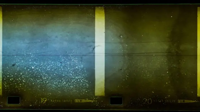 透過昏暗的湖水可以看到一些結構。