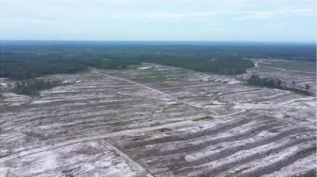 Kementerian Pertahanan menyebut pengerjaan kebun singkong terhenti sementara karena ketiadaan anggaran.