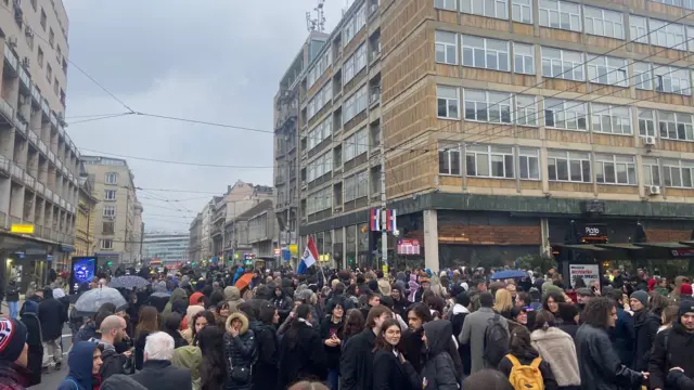 Маса људи на протестима