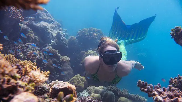 Mulher com cauda de sereia nadando entre os recifes