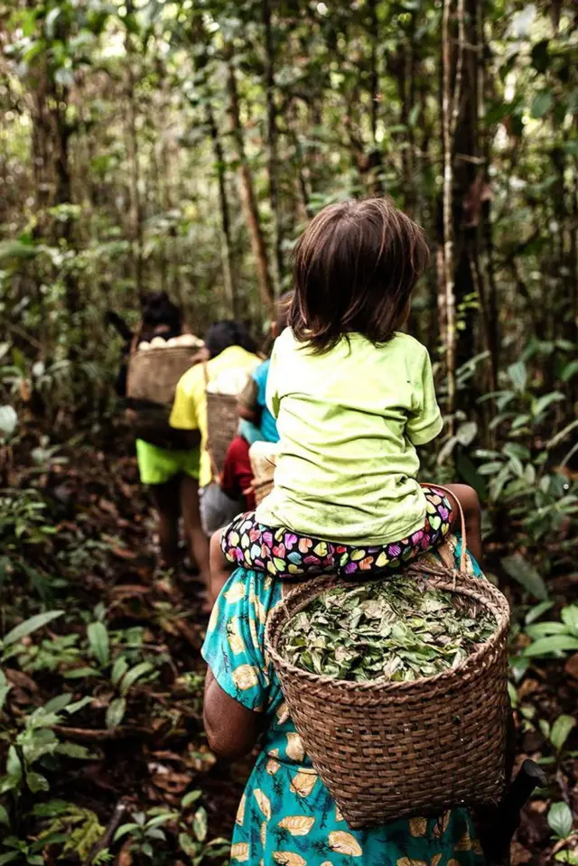 Una mujer camina por el bosque cargando una cesta con plantas y una niña en sus hombros 