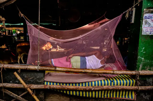 মশার হাত থেকে বাঁচতে মশারির ভেতর শুয়ে আছেন এক লোক