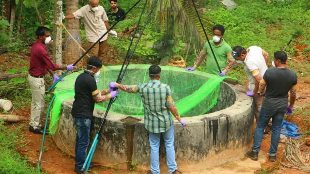 ভারতের কেরালা রাজ্যে কয়েক বছর পর পরই নিপাহ্ ভাইরাসের সংক্রমণ ছড়িয়ে পড়ে - ফাইল ছবি