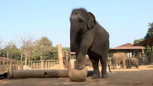 रिलायन्स फाउंडेशनने प्रसिद्ध केलेला फोटो