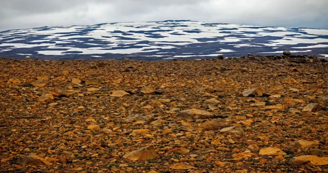 صورة تظهر ذوبان تلاشي نهر أوكيوكول الجليدي 