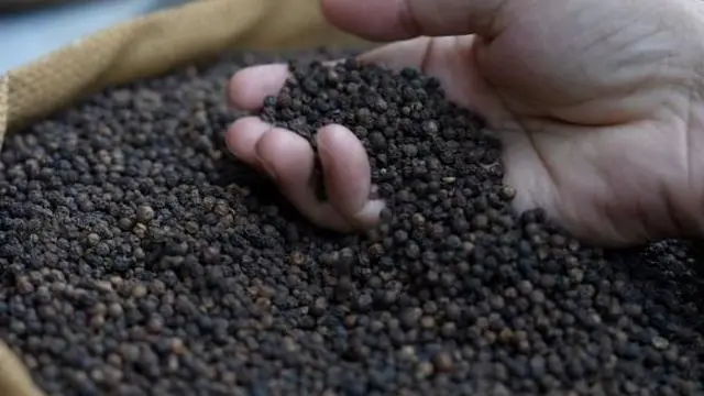 अरब और भारत के बीच संबंध व्यापार के माध्यम से बने, इसमें काली मिर्च का ट्रेड काफ़ी अहम था और इसी के साथ इस्लाम का आगमन हुआ (सांकेतिक तस्वीर)