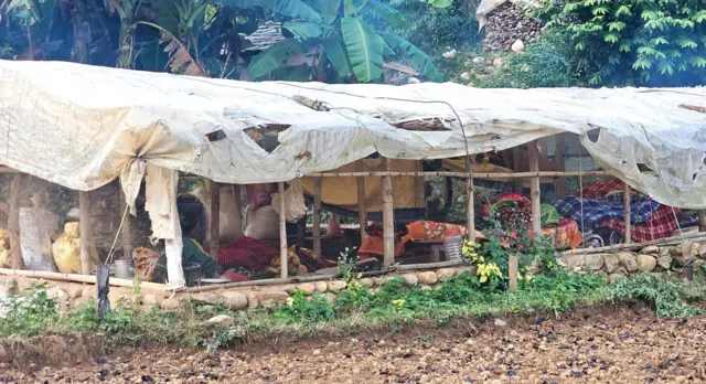 जाजरकोटको भेरी नगरपालिका-१, रिम्नाका केही स्थानीय कुखुरा पाल्ने खोरमा बसेका छन्