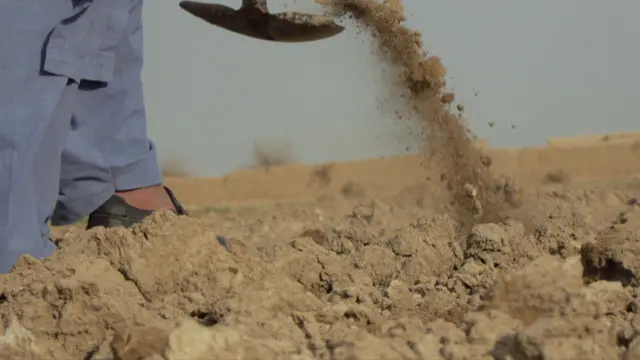 احمد خپله کرونده کې