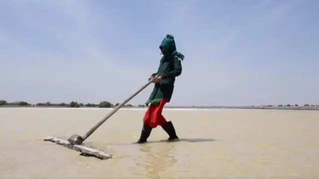  અગરિયાઓ લોકસભા ચૂંટણી કચ્છ બીબીસી ગુજરાતી 